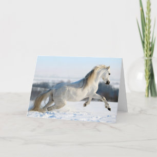 Snow Runner Holiday Card