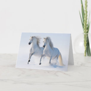 Snow Runners Holiday Card