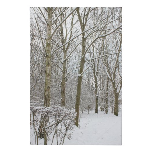 Snow Scene Faux Canvas Print