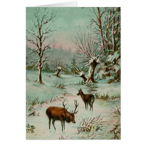 Snow scene with deer