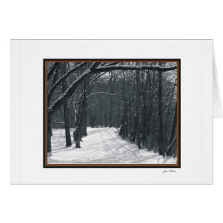 snow scenes cards