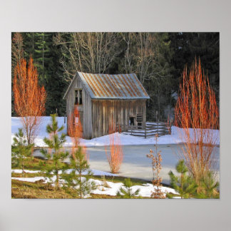 Snow Shed Poster