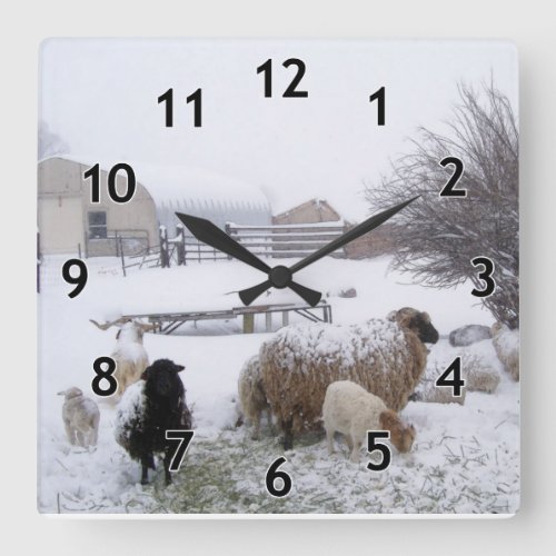 Snow Sheep Square Wall Clock