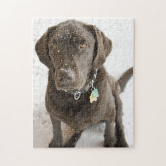Snow Sprinkled Chocolate Lab Photograph Jigsaw Puzzle