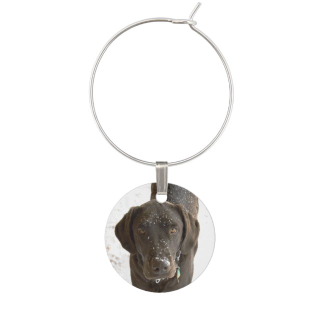 Snow Sprinkled Chocolate Lab Wine Glass Charm (Front)