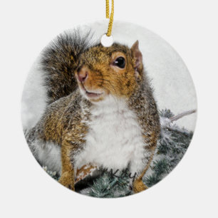 Snow Squirrel Ceramic Ornament