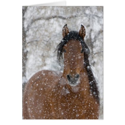 Snow Stallion Horse Greeting Card