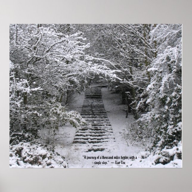 Snow steps poster (Front)