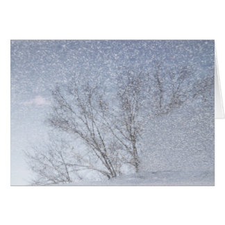 Snow Storm Cards