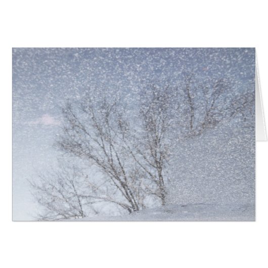 Snow Storm Cards (Front Horizontal)