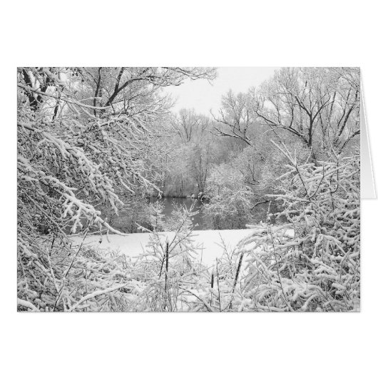 Snow Storm Cards (Front Horizontal)