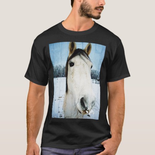 Snow Struck Paso Fino Horse T_Shirt