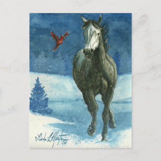 Snow Tag Wild Horse Post Card