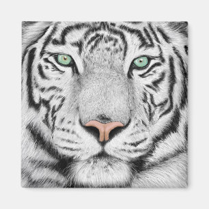 Snow Tiger Face  Magnet