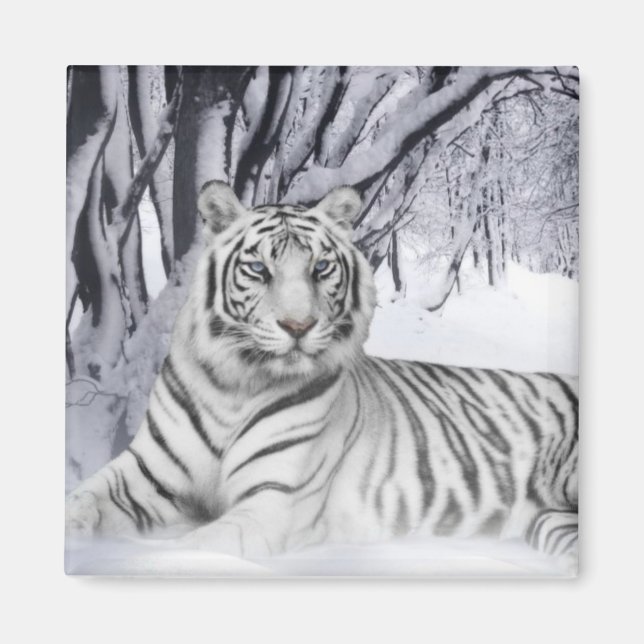 Snow Tiger Magnet (Front)