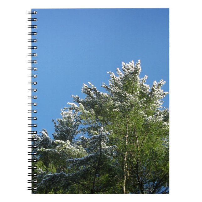 Snow-tipped Pine Tree on Blue Sky Notebook (Front)