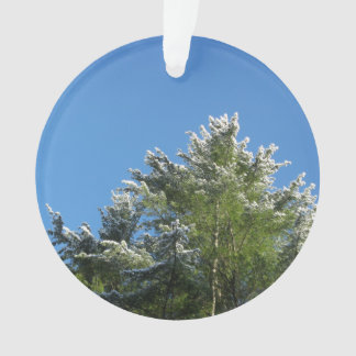 Snow-tipped Pine Tree on Blue Sky Ornament