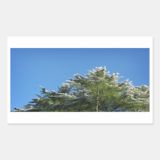 Snow-tipped Pine Tree on Blue Sky Rectangular Sticker