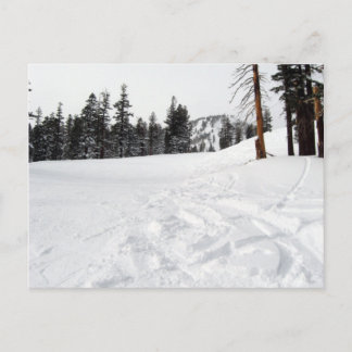 Snow Trails Ski & Snowboard Postcard