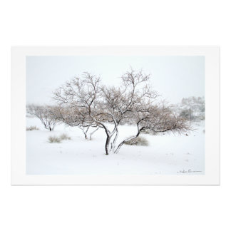 Snow Tree by Sidharta Pascual Photo Print