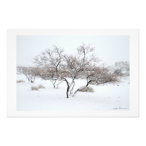 Snow Tree by Sidharta Pascual Photo Print