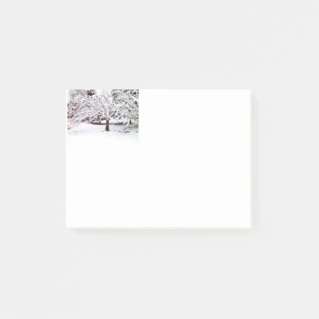 Snow Tree Notes (Front)