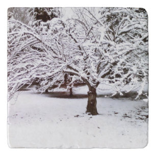 Snow Tree Trivet