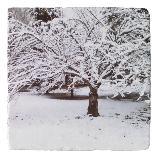 Snow Tree   Trivet (Front)