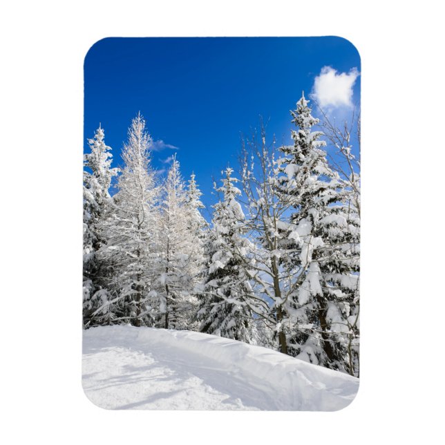 Snow trees under a clear blue sky vertical magnet (Vertical)