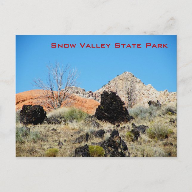 Snow Valley State Park Postcard (Front)