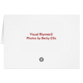 snow wall cards (Back Horizontal)