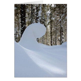 Snow Wave  2014 Cards
