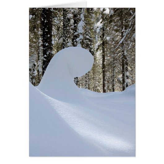 Snow Wave  2014 Cards (Front)