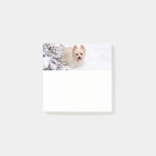 Snow Westie Dog Photo Stationery 3x3 Notes