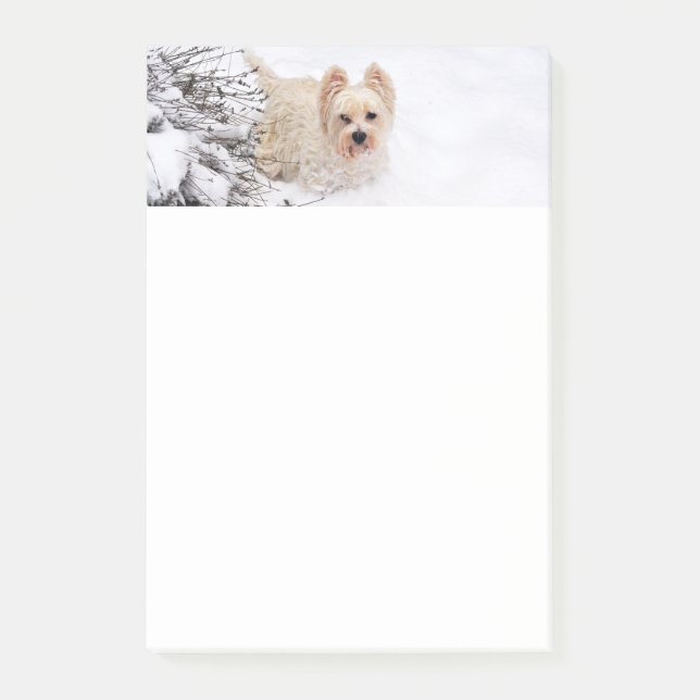 Snow Westie Dog Photo Stationery 4x6 Post-it Notes (Front)