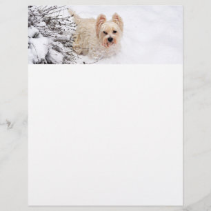 Snow Westie Dog Photo Stationery Paper