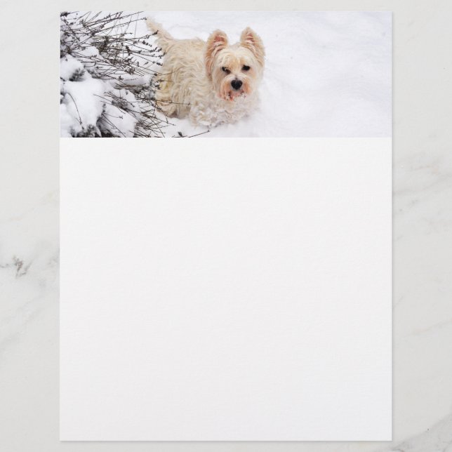 Snow Westie Dog Photo Stationery Paper (Front)