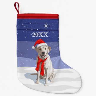 Snow White Labrador Retriever