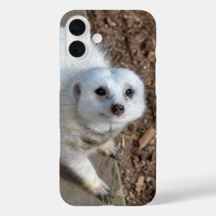 Snow White Meerkat, iPhone 16 Plus Case