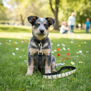 Snow White Pet Leash