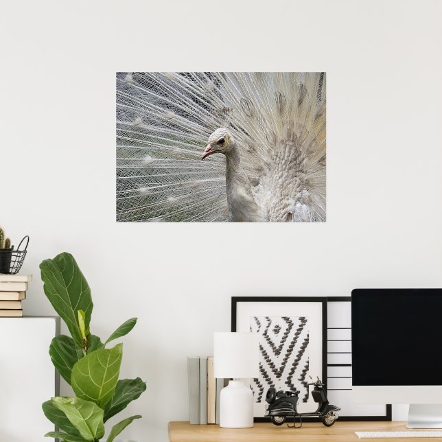 Snow White Poster (Home Office)