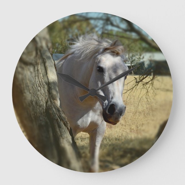 Snow White The Horse, Large Round Wall clock. Clock (Front)