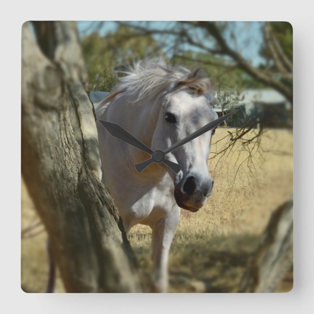 "Snow White: The Majestic Steed" Square Wall Clock (Front)
