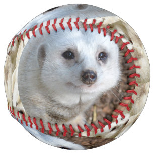 Snow White The Meerkat, Softball