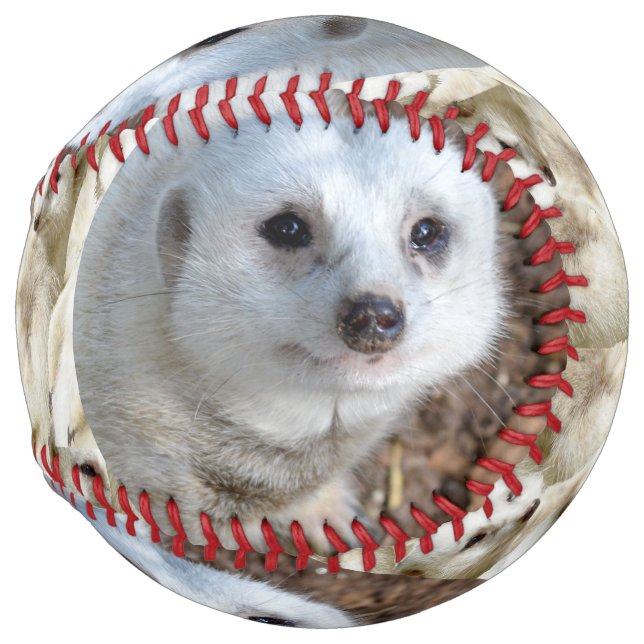 Snow White The Meerkat, Softball (Front Right)