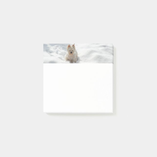 Snow White Westie Dog Photo Post-it Note Pad (Front)