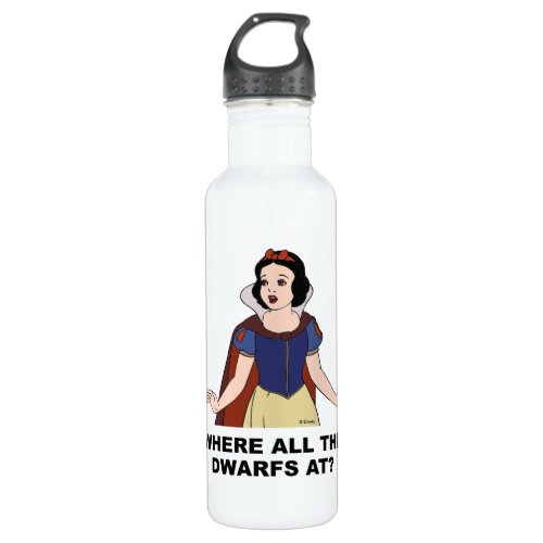 Snow White  Where all the Dwarfs at Stainless Steel Water Bottle