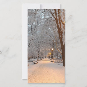 Snow Winter Park Scene Greeting Card