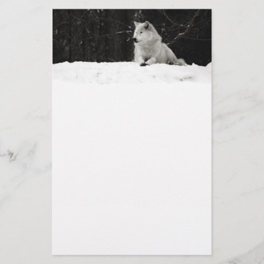 Snow Wolf (Front)