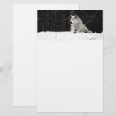 Snow Wolf (Front/Back)